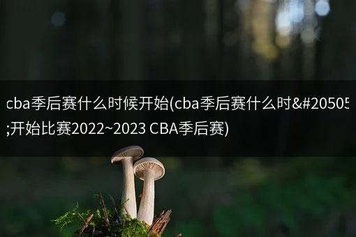 cba季后賽什么時候開始(cba季后賽什么時候開始比賽2022~2023 CBA季后賽)