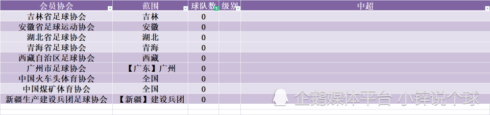 武漢市足球協會_武漢足球協會官方網站_武漢足球協會會長流落街頭