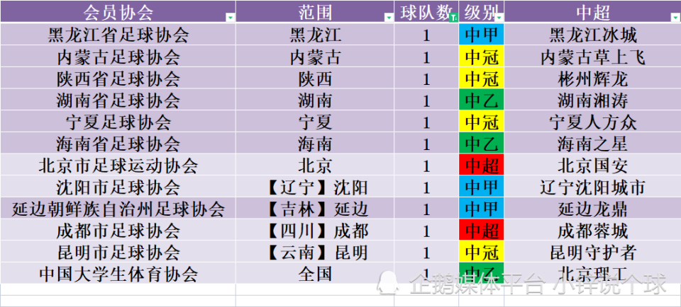 武漢足球協會官方網站_武漢足球協會會長流落街頭_武漢市足球協會