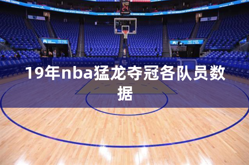 19年nba猛龍奪冠各隊員數據