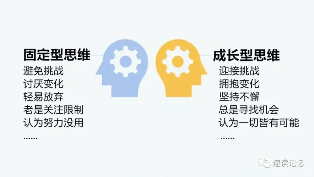 蒂尼博格斯生涯數據_蒂尼·博格斯是怎么成為nba球員的_蒂尼.博格斯